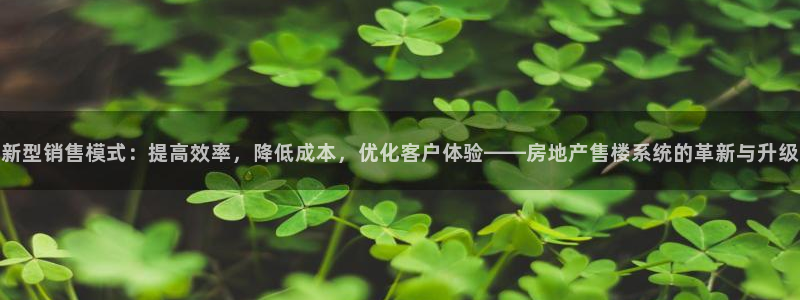 新宝5浗维33 300：新型销售模式：提高效率，降低成本，优