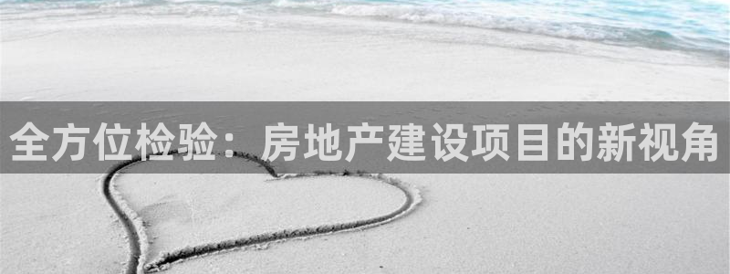 新宝5测登录：全方位检验：房地产建设项目的新视角