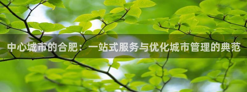 新宝5是什么样子的：中心城市的合肥：一站式服务与优化城市管理