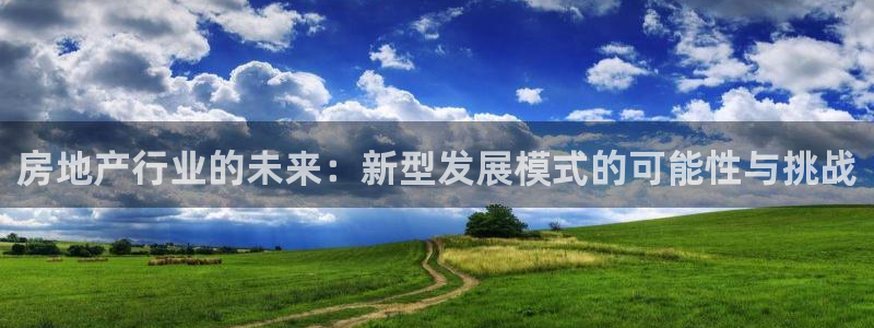 新宝5娱乐多：房地产行业的未来：新型发展模式的可能性与挑战
