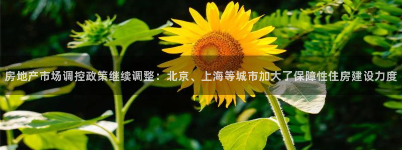 新宝5登录入口网址：房地产市场调控政策继续调整：北京、上海等