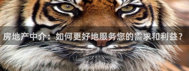 新宝5平台注册资金：房地产中介：如何更好地服务您的需求和利益