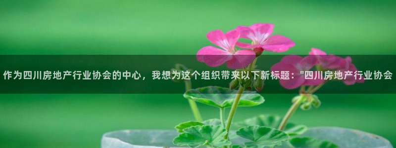 新宝5登录入口网址：作为四川房地产行业协会的中心，我想为这个
