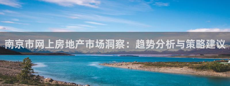 新宝5测：南京市网上房地产市场洞察：趋势分析与策略建议