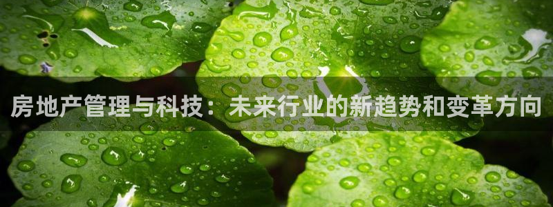 新宝5下载官方：房地产管理与科技：未来行业的新趋势和变革方向
