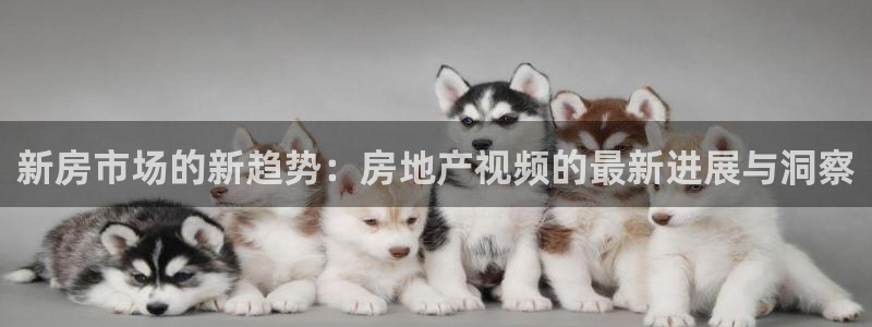 新宝5招商：新房市场的新趋势：房地产视频的最新进展与洞察