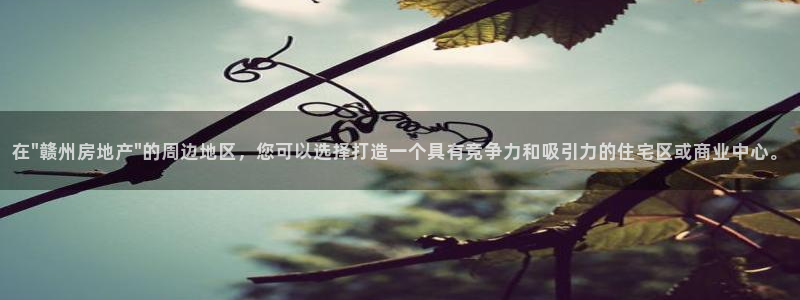 新宝5授权：在\