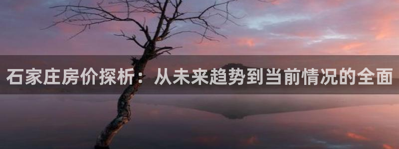 新宝5官方登录入口：石家庄房价探析：从未来趋势到当前情况的全