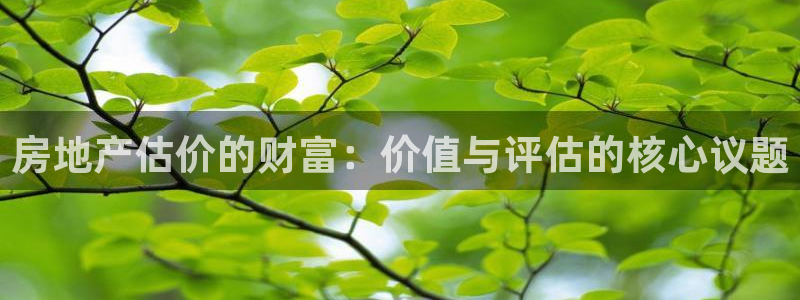 新宝5登录：房地产估价的财富：价值与评估的核心议题