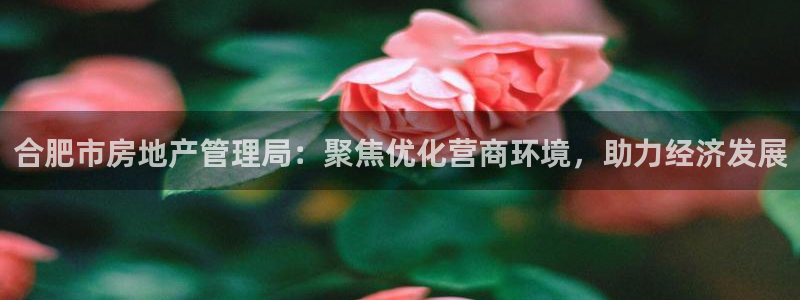 新宝5d：合肥市房地产管理局：聚焦优化营商环境，助力经济发展