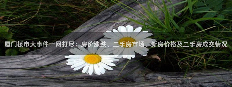 新宝5黑：厦门楼市大事件一网打尽：房价涨跌、二手房市场、新房