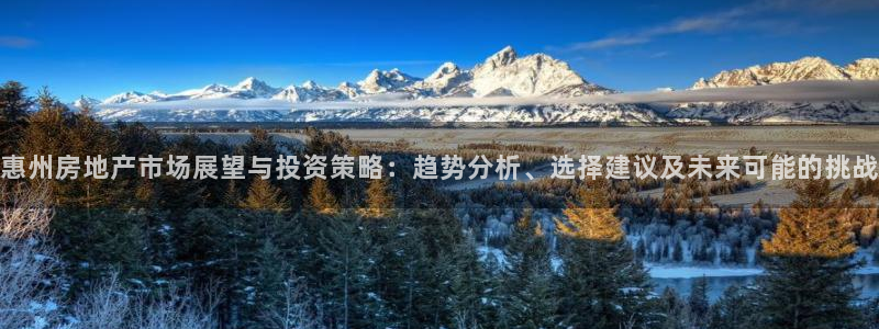 新宝娱乐5：惠州房地产市场展望与投资策略：趋势分析、选择建议