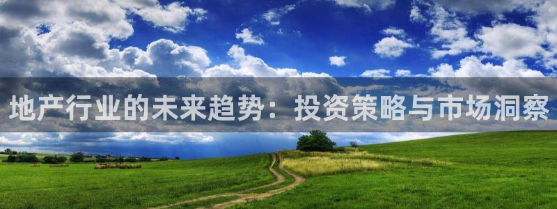 新宝5测速线路：地产行业的未来趋势：投资策略与市场洞察