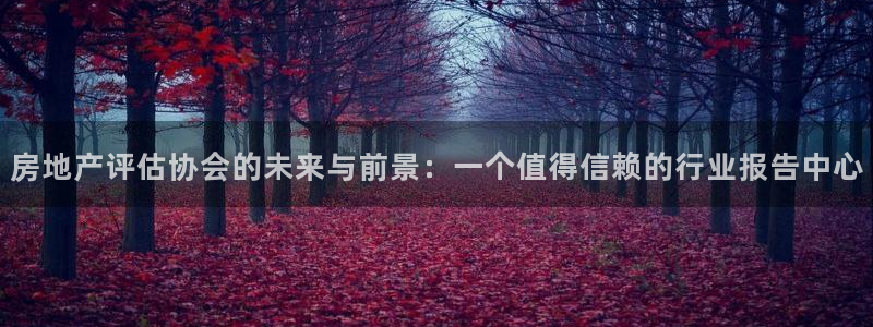 新宝5测速线路：房地产评估协会的未来与前景：一个值得信赖的行