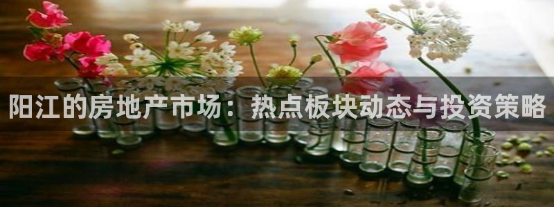 新宝5是谁的