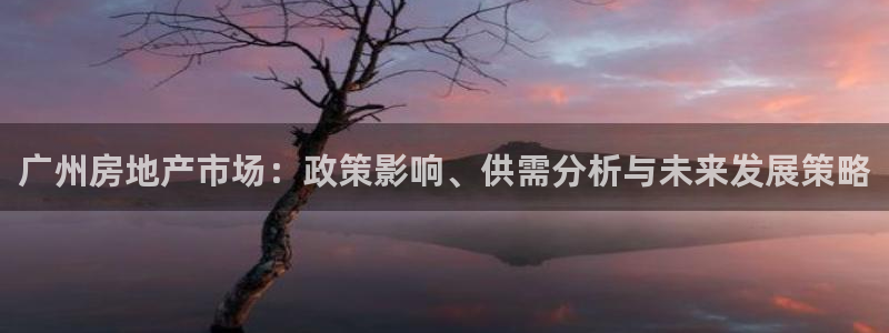 新宝5 888：广州房地产市场：政策影响、供需分析与未来发展
