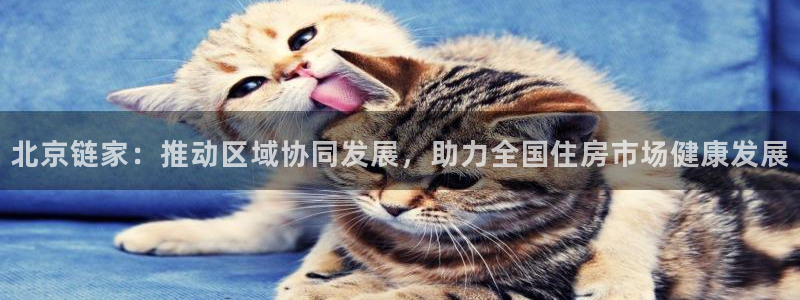 新宝5d：北京链家：推动区域协同发展，助力全国住房市场健康发