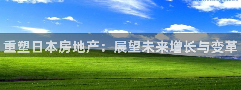 新宝5挂机软件：重塑日本房地产：展望未来增长与变革