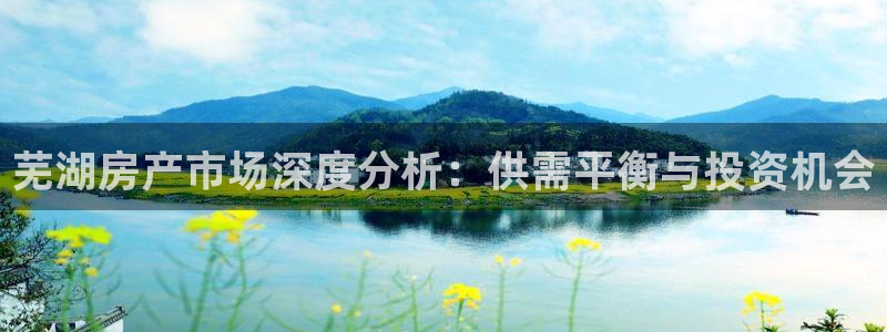 新宝5客户端登录：芜湖房产市场深度分析：供需平衡与投资机会