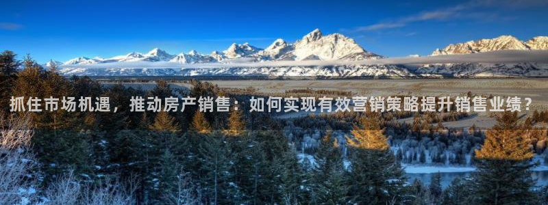 新宝5现在还能玩吗：抓住市场机遇，推动房产销售：如何实现有效