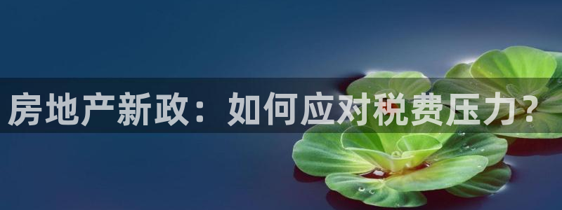 新宝5链接：房地产新政：如何应对税费压力？
