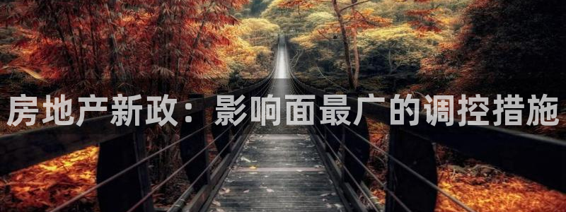 新宝5平棋牌：房地产新政：影响面最广的调控措施
