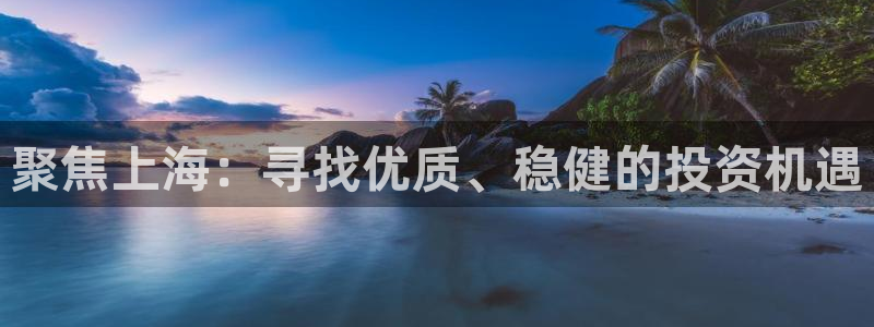 新宝3得74OO5：聚焦上海：寻找优质、稳健的投资机遇