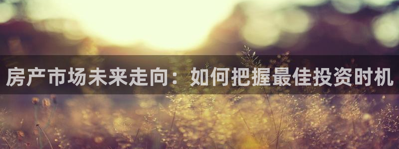 新宝5手机app：房产市场未来走向：如何把握最佳投资时机