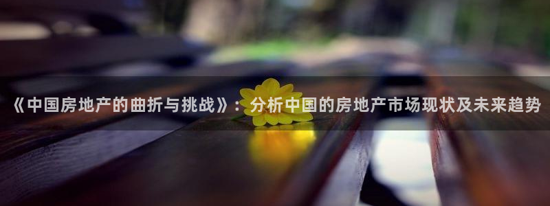 新宝5吕74OOO5：《中国房地产的曲折与挑战》：分析中国的