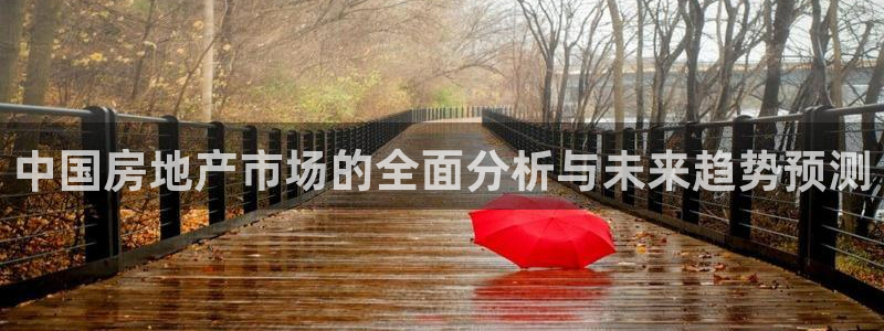 新宝5挂机软件：中国房地产市场的全面分析与未来趋势预测
