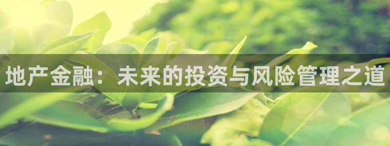 新宝5登录霸：地产金融：未来的投资与风险管理之道