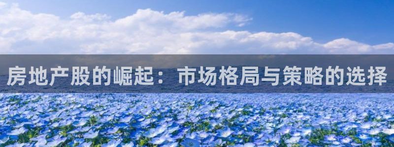 新宝rm5：房地产股的崛起：市场格局与策略的选择
