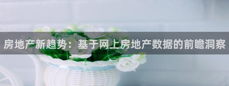 新宝5褚32OO59：房地产新趋势：基于网上房地产数据的前瞻
