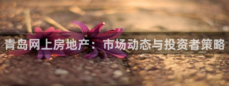 老新宝5授权登录：青岛网上房地产：市场动态与投资者策略
