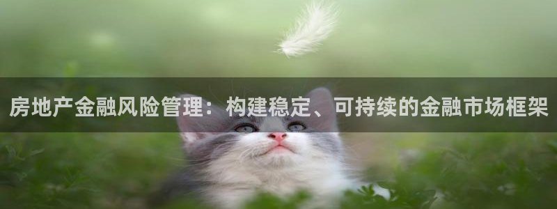 新宝新5：房地产金融风险管理：构建稳定、可持续的金融市场框架
