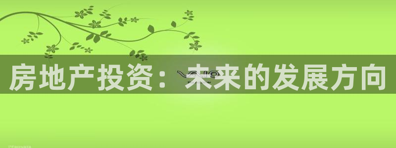 新宝5平台：房地产投资：未来的发展方向