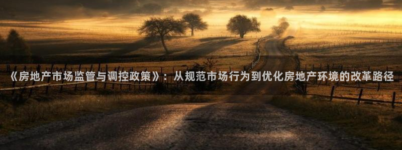 新宝h2O5O5O：《房地产市场监管与调控政策》：从规范市场