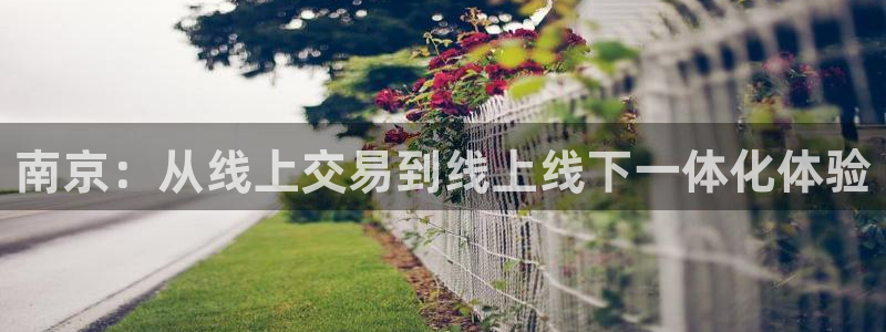 新宝5是什么样子的：南京：从线上交易到线上线下一体化体验