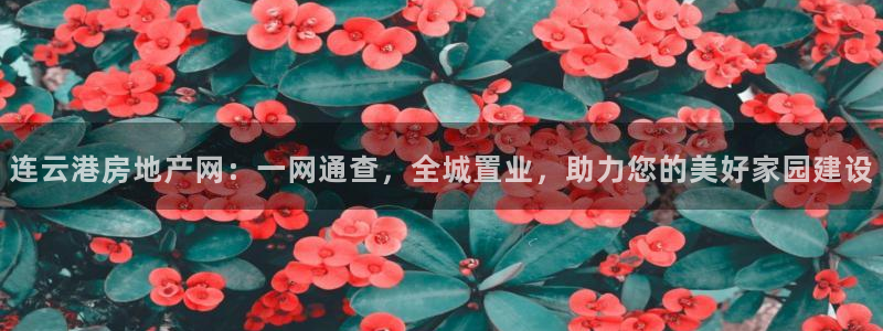 新宝5黑彩：连云港房地产网：一网通查，全城置业，助力您的美好