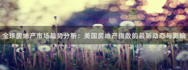 新宝5找找74OOO5：全球房地产市场趋势分析：美国房地产指