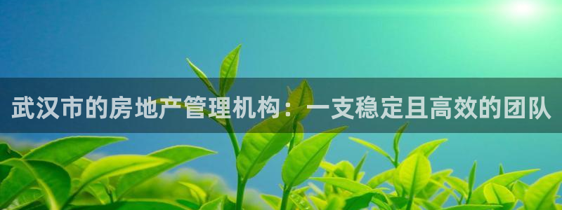 新宝股东王听2 5 5：武汉市的房地产管理机构：一支稳定且高