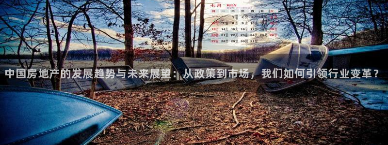 新宝5平台注册：中国房地产的发展趋势与未来展望：从政策到市场