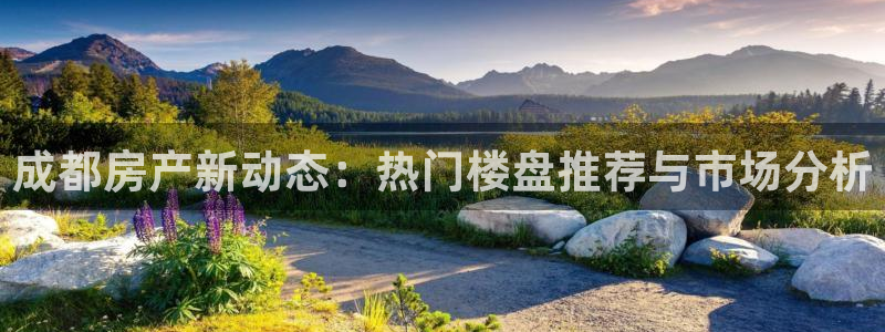 新宝cR一5：成都房产新动态：热门楼盘推荐与市场分析