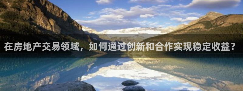 新宝5是谁的：在房地产交易领域，如何通过创新和合作实现稳定收