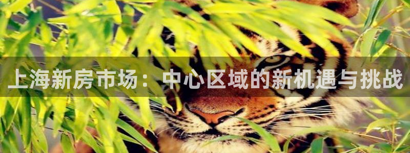 新宝5彩票平台登陆：上海新房市场：中心区域的新机遇与挑战