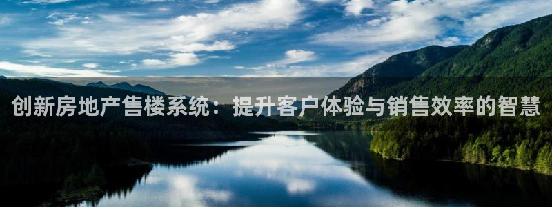 新宝5湫333 00：创新房地产售楼系统：提升客户体验与销售