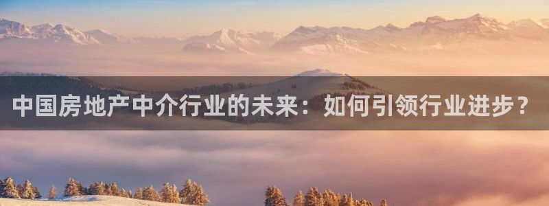 皇冠新宝5：中国房地产中介行业的未来：如何引领行业进步？