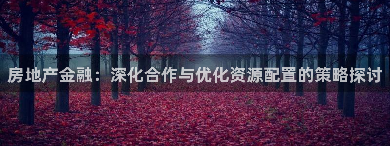 新宝5测试：房地产金融：深化合作与优化资源配置的策略探讨