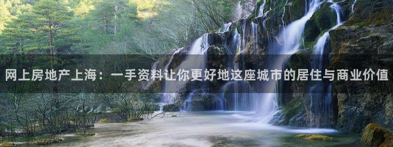 新宝娱乐5入口：网上房地产上海：一手资料让你更好地这座城市的