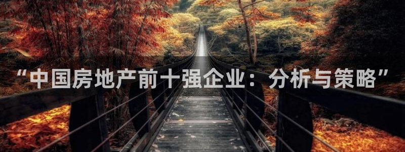 新宝5官网平台：“中国房地产前十强企业：分析与策略”